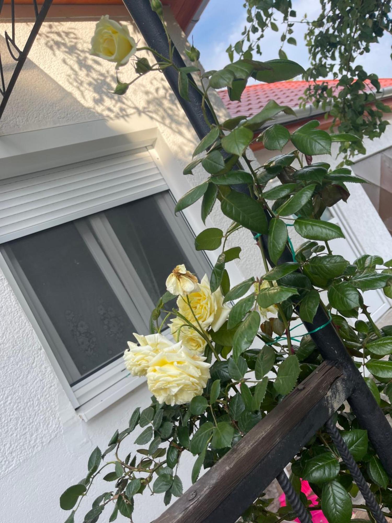 Valentina Apartman Balatonmariafurdo Luaran gambar